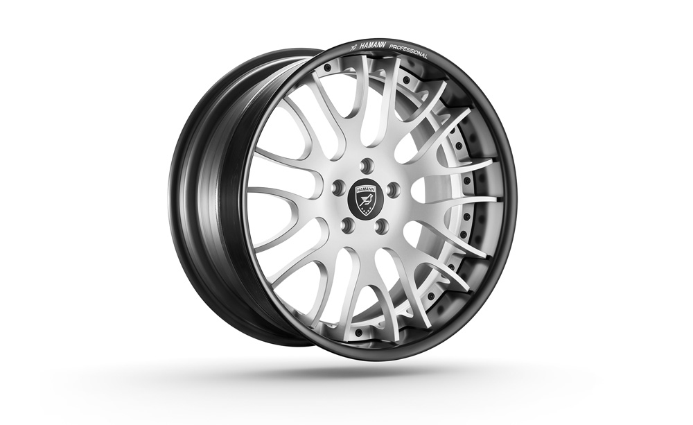 HAMANN %22PROFESSIONAL%22